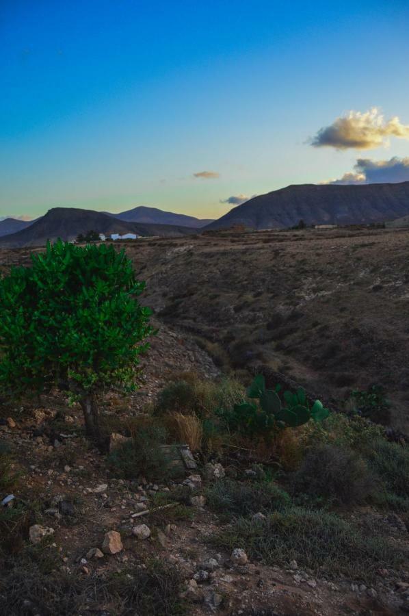 Casa Blas Puerto del Rosario (Fuerteventura)